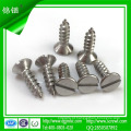 Slotted Falt Cabeçote Escareado Self Tapping Screw